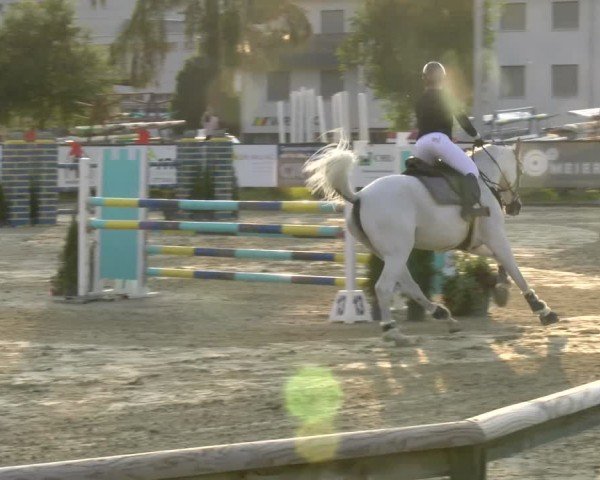 Reitturnier Dagmersellen 2024