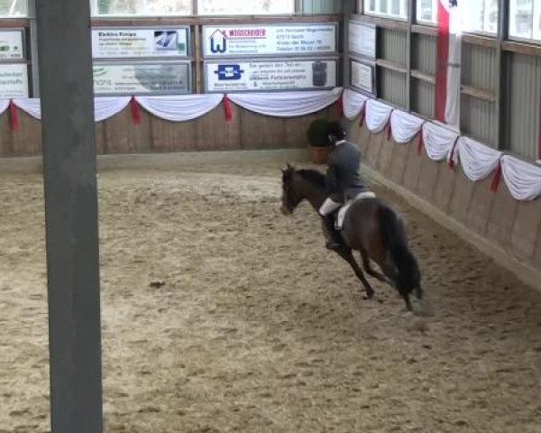 Spring-Event Goch 2013