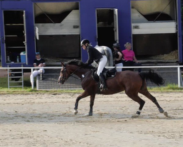 Reitturnier Heiligenwald 2024
