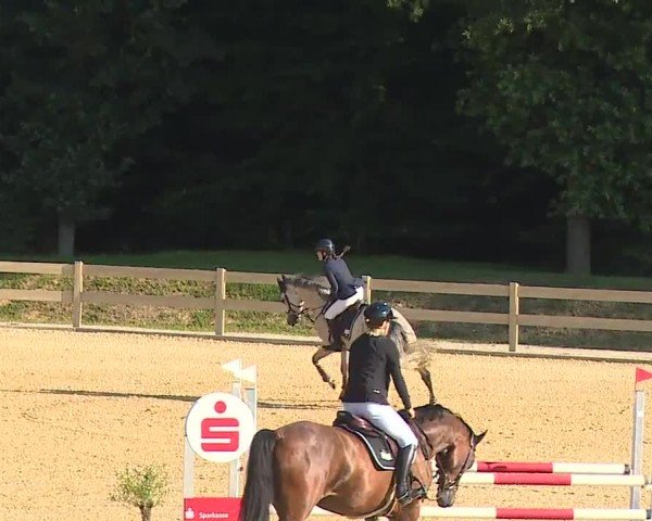 Reitturnier Tiefenhof/Opf. 2024