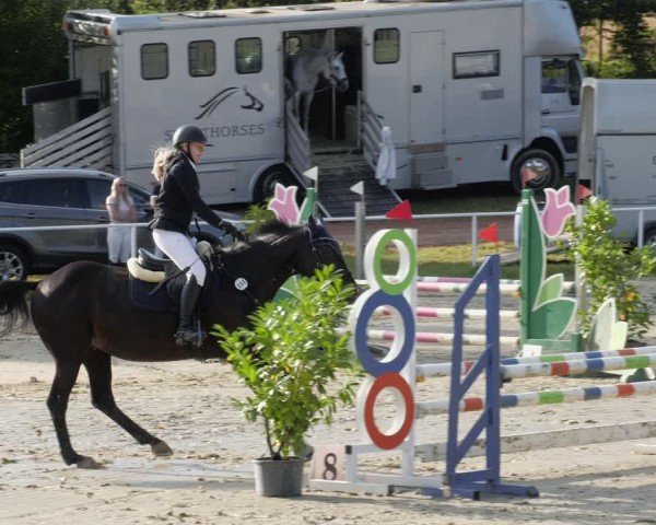 Reitturnier Heiligenwald 2024