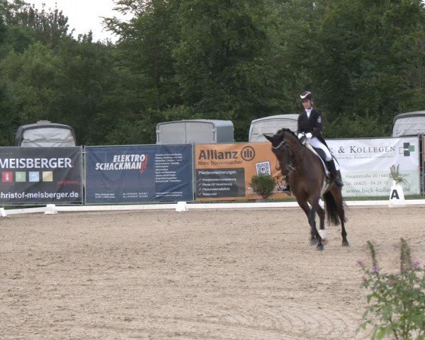 Reitturnier Heiligenwald 2024