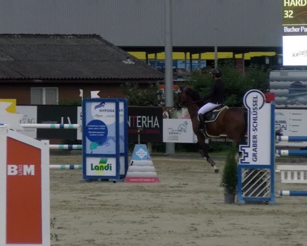 Reitturnier Dagmersellen 2024