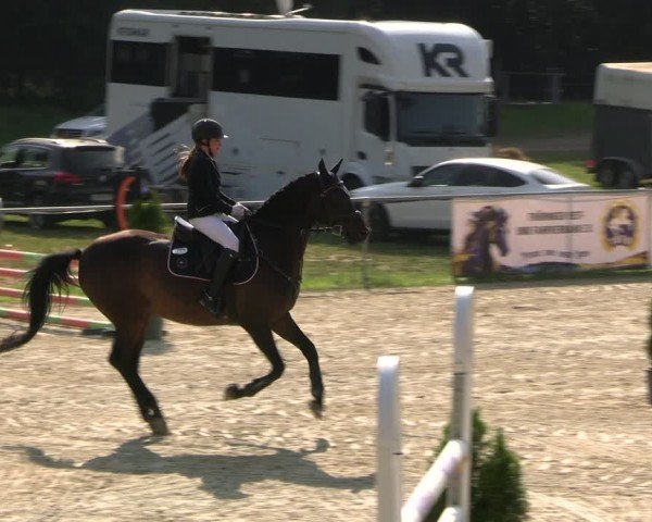 Reitturnier Bad Liebenstein/Sorga 2024