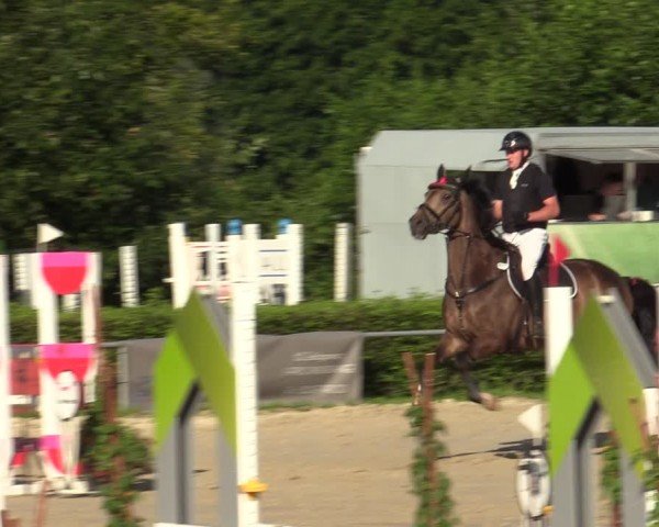 Reitturnier Weiswampach  2024