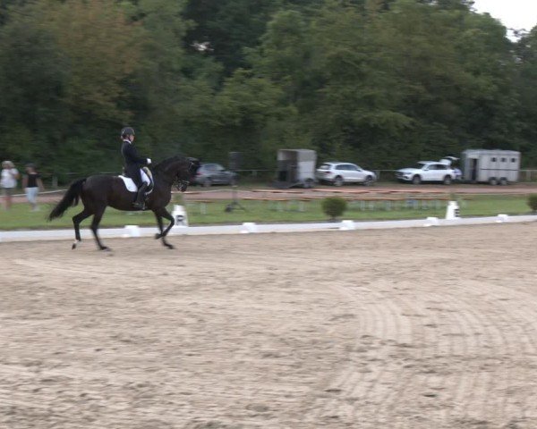 Reitturnier Heiligenwald 2024
