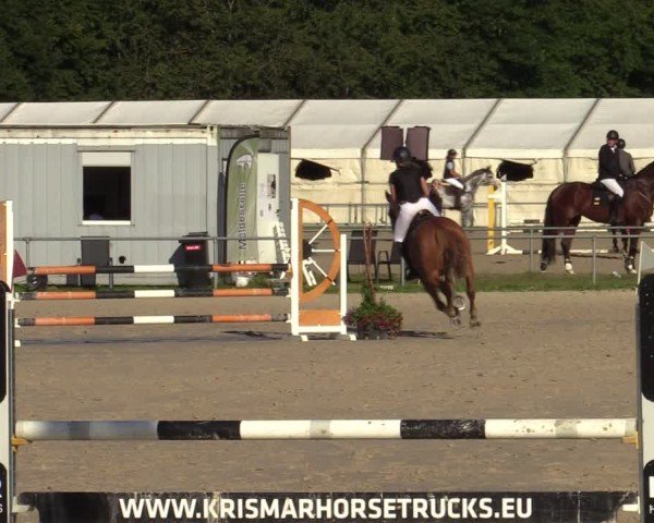 Reitturnier Weiswampach  2024