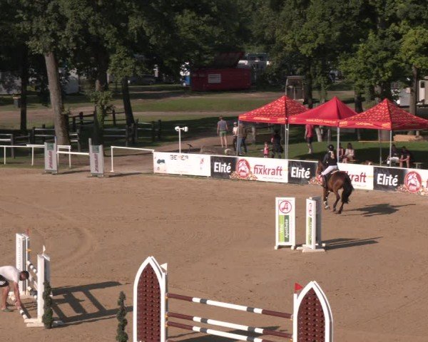 Reitturnier Stadl-Paura 2024