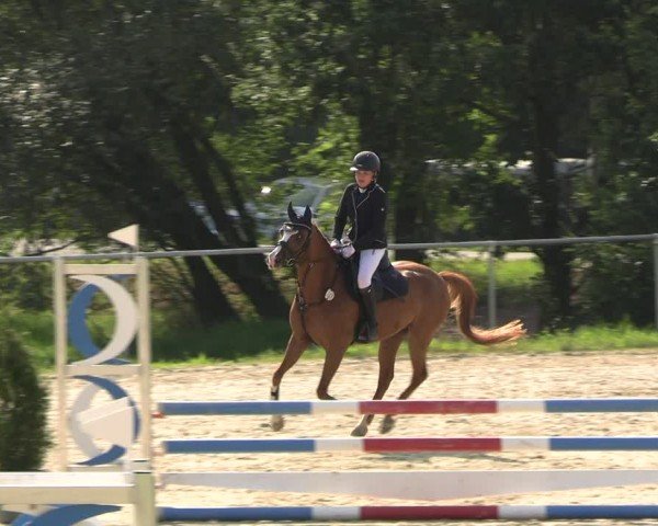 Reitturnier Bad Liebenstein/Sorga 2024