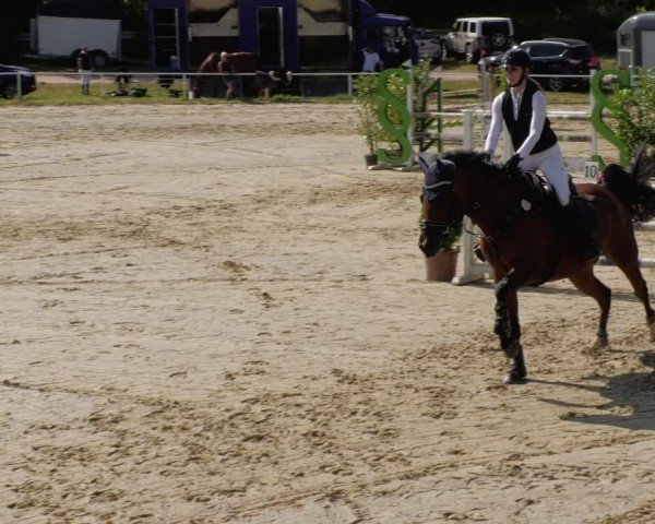 Reitturnier Heiligenwald 2024