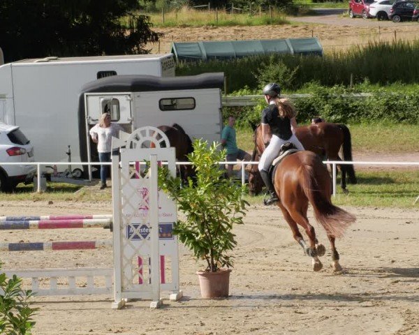 Reitturnier Heiligenwald 2024