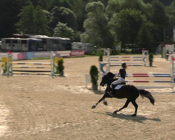 Reitturnier Bad Liebenstein/Sorga 2024