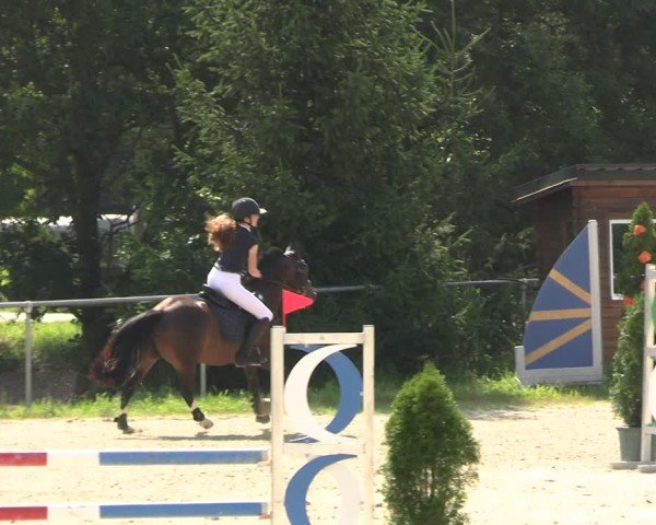 Reitturnier Bad Liebenstein/Sorga 2024