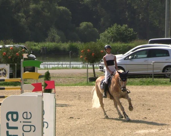Reitturnier Bad Liebenstein/Sorga 2024