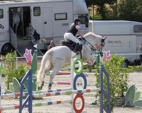 Reitturnier Heiligenwald 2024