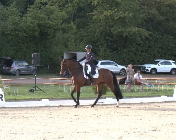 Reitturnier Heiligenwald 2024