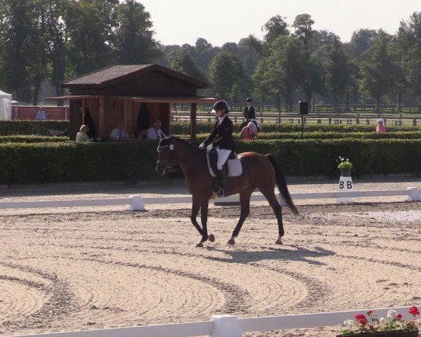 Reitturnier Neustadt/Dosse 2024