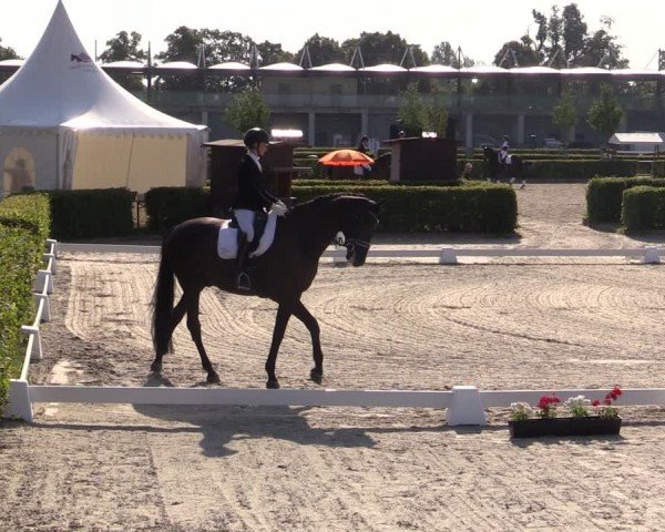 Reitturnier Neustadt/Dosse 2024