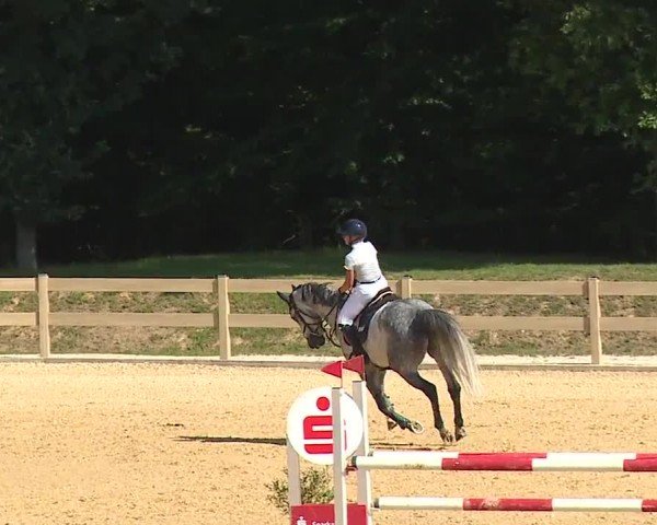 Reitturnier Tiefenhof/Opf. 2024