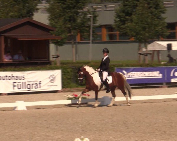 Reitturnier Neustadt/Dosse 2024
