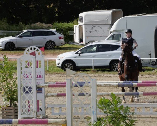 Reitturnier Heiligenwald 2024