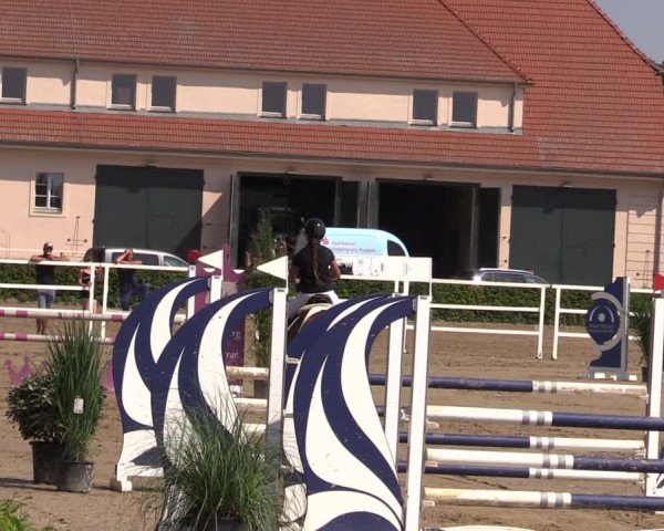 Reitturnier Neustadt/Dosse 2024