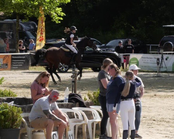 Reitturnier Heiligenwald 2024