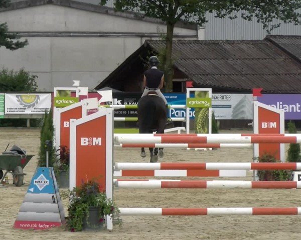 Reitturnier Dagmersellen 2024