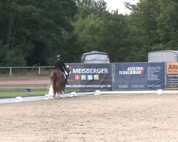 Reitturnier Heiligenwald 2024