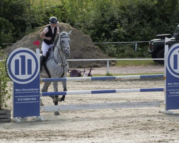 Reitturnier Heiligenwald 2024