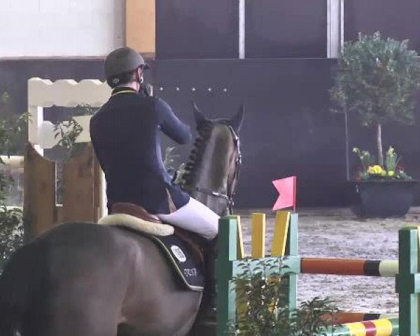 Nationales Hallenspringturnier Sauldorf- Boll 2013