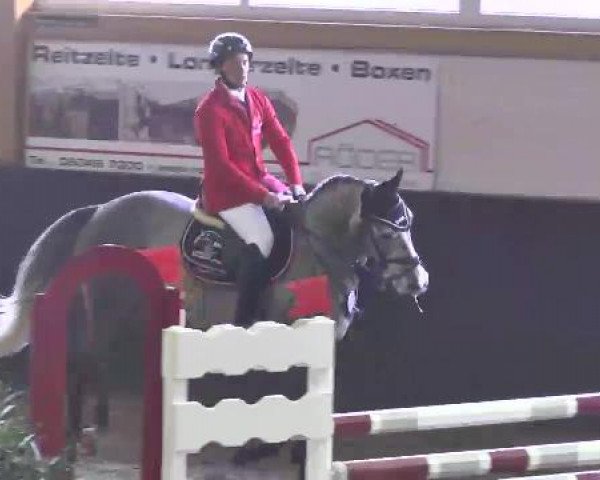 Nationales Hallenspringturnier Sauldorf- Boll 2013