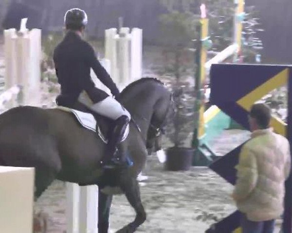 Nationales Hallenspringturnier Sauldorf- Boll 2013