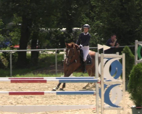 Reitturnier Bad Liebenstein/Sorga 2024