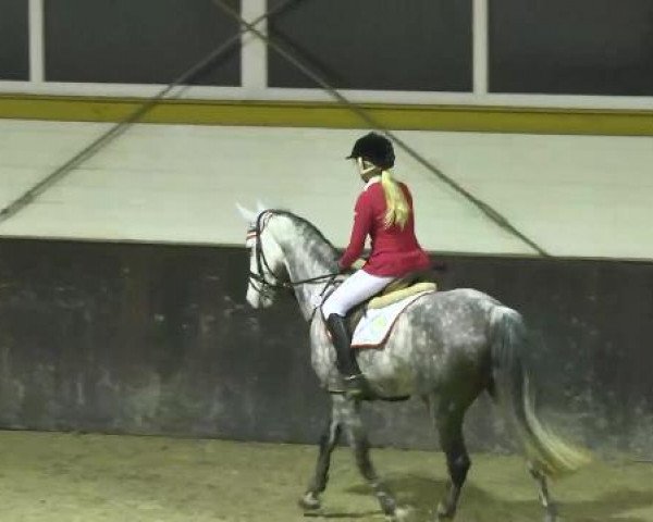 Nationales Hallenspringturnier Sauldorf- Boll 2013