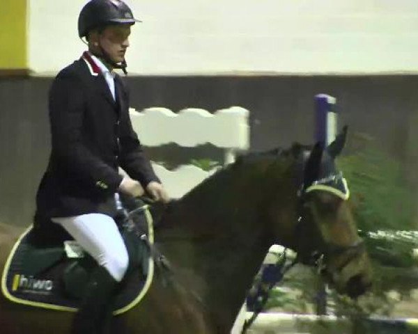 Nationales Hallenspringturnier Sauldorf- Boll 2013
