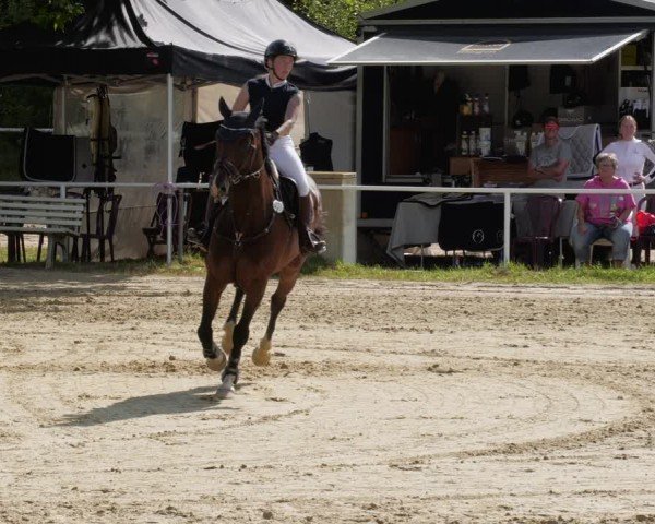 Reitturnier Heiligenwald 2024
