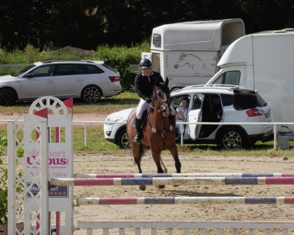Reitturnier Heiligenwald 2024