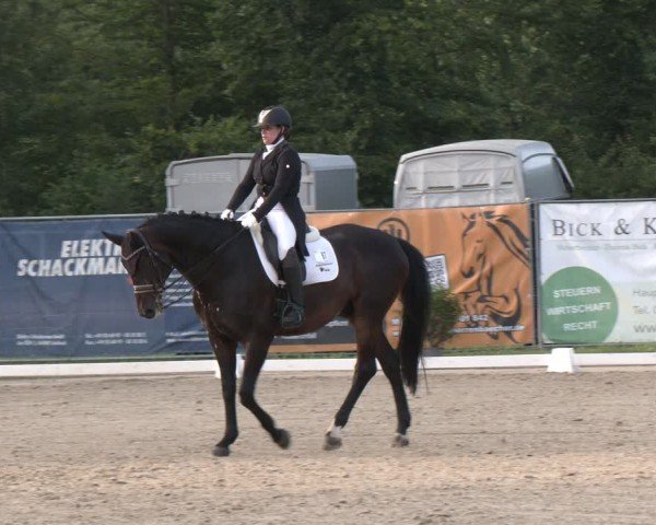 Reitturnier Heiligenwald 2024