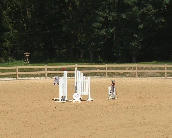 Reitturnier Tiefenhof/Opf. 2024