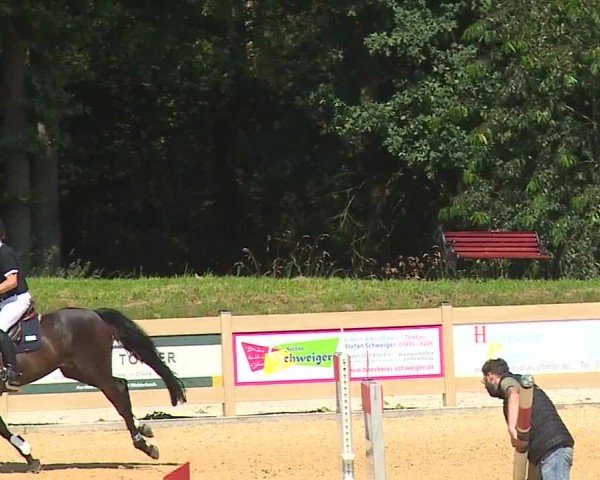 Reitturnier Tiefenhof/Opf. 2024