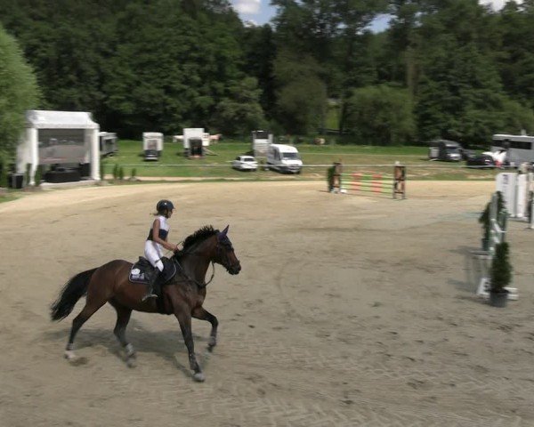 Reitturnier Bad Liebenstein/Sorga 2024