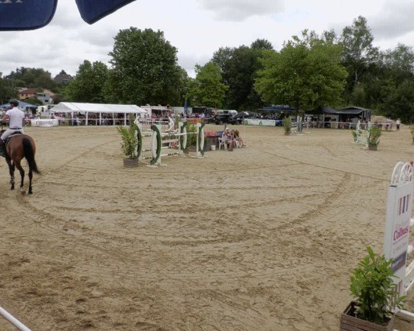 Reitturnier Heiligenwald 2024