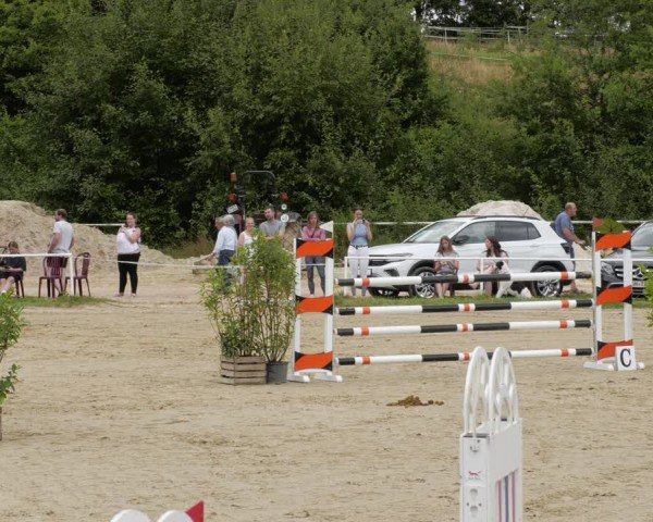 Reitturnier Heiligenwald 2024