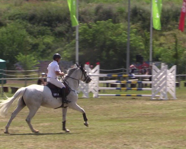 Reitturnier Gardelegen 2024
