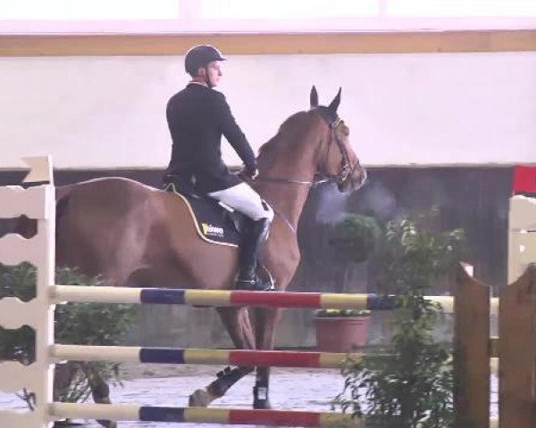 Nationales Hallenspringturnier Sauldorf- Boll 2013