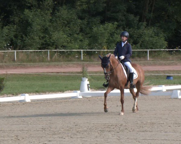 Reitturnier Heiligenwald 2024