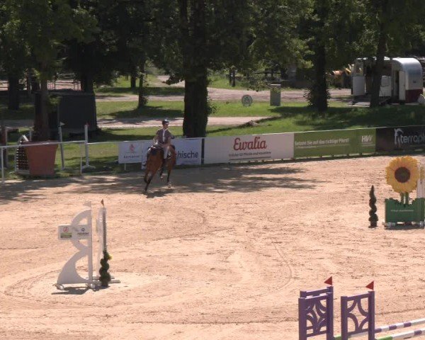 Reitturnier Stadl-Paura 2024