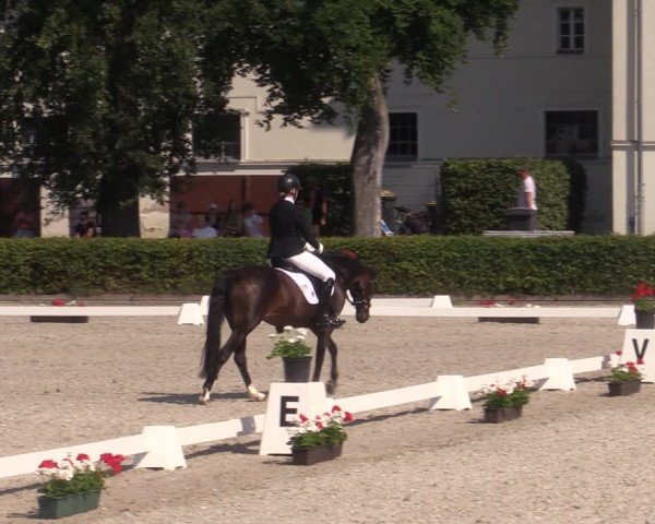Reitturnier Neustadt/Dosse 2024