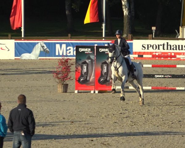 Reitturnier Westergellersen 2021